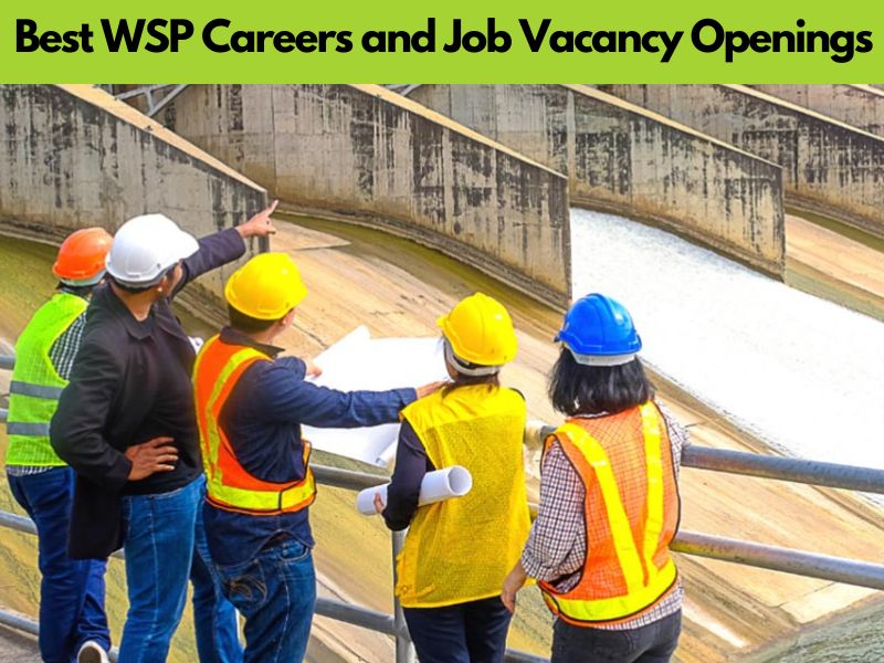 Best WSP Careers and Job Vacancy Openings